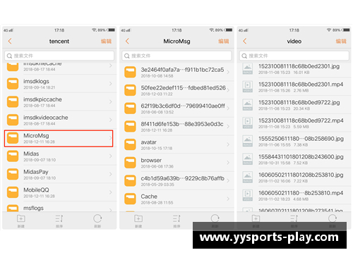 YY易游体育球员伤病：预防与康复策略的深度探讨 - 副本
