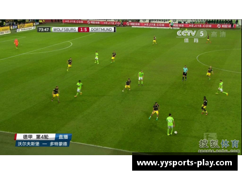 YY易游体育沃尔夫斯堡客场胜汉堡，德甲保级前景渐显乐观